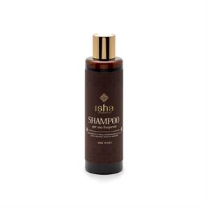 Frequent use shampoo in Hair Care