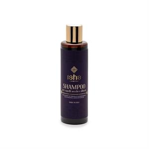 Shampoo for dry and damaged hair in Hair Care
