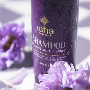 Shampoo for dry and damaged hair in Hair Care
