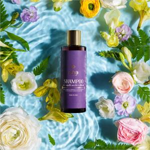 Shampoo for dry and damaged hair in Hair Care