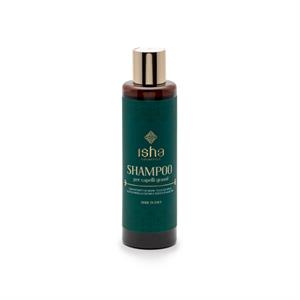 Shampoo for oily hair in Hair Care