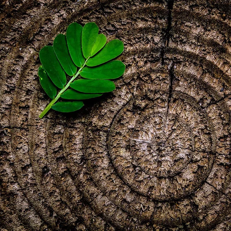 produzione cera per capelli conto terzi